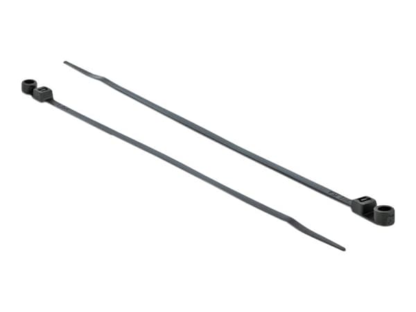 Delock Cable Tie with Fastening Eyelet - Kabelfestebånd - 16 cm - svart (en pakke 10)