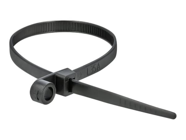 Delock Cable Tie with Fastening Eyelet - Kabelfestebånd - 16 cm - svart (en pakke 10)