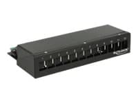 Delock Keystone Desktop Patch Panel - Patch-panel - gagatsvart, RAL 9005 - 12 portar