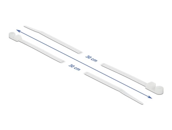 Delock Cable Tie with Fastening Eyelet - Kabelfestebånd - 30 cm - hvit (en pakke 10)
