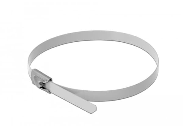 Delock - Kabelfestebånd - 30 cm - hvit (en pakke 10)