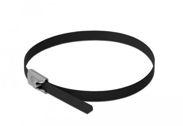 DeLOCK 18810, Terästä, Musta, 30 cm, 4,6 mm, 10 kpl