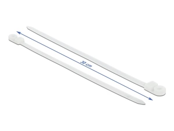 Delock Cable Tie with Fastening Eyelet - Kabelfestebånd - 30 cm - hvit (en pakke 10)