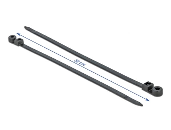 Delock Cable Tie with Fastening Eyelet - Kabelfestebånd - 30 cm - svart (en pakke 10)