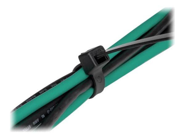 Delock - Kabelfestebånd - 30 cm - svart (en pakke 100)