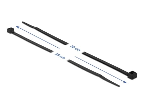 Delock - Kabelfestebånd - 30 cm - svart (en pakke 100)