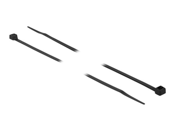 Delock - Kabelfestebånd - 30 cm - svart (en pakke 100)