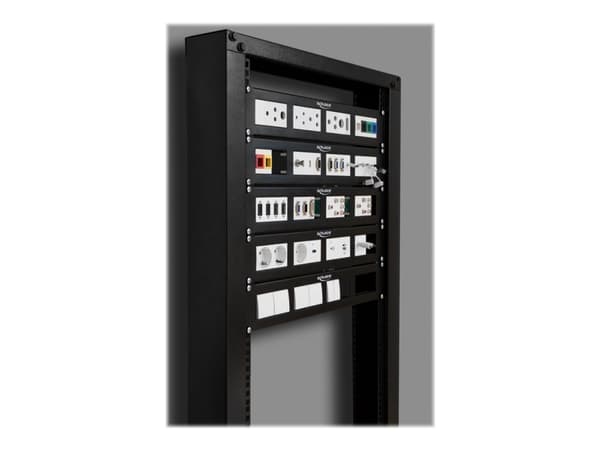 Delock - Patch-panel - rackmontering - svart - 2U - 19"