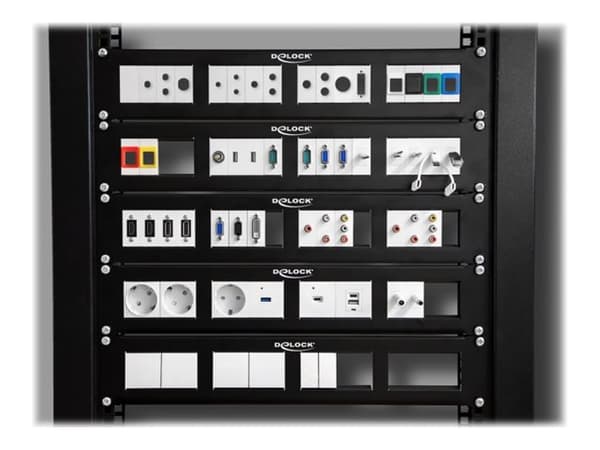 Delock - Patch-panel - rackmontering - svart - 2U - 19"