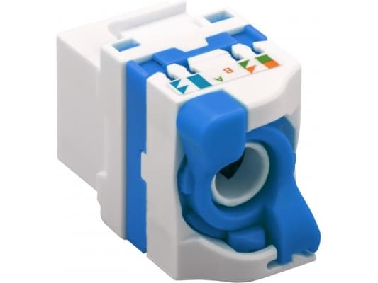 Techly IWP-MD C6A/UROTT, Valkoinen, Naaras, U/UTP (UTP), 14,6 mm, 30,7 mm, 16 mm