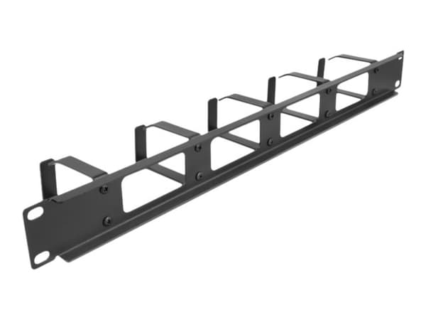 Delock - Rackpanel för kabelhantering - svart - 1U - 19"