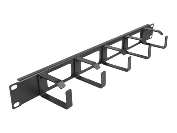 Delock - Rackpanel för kabelhantering - svart - 1U - 19"