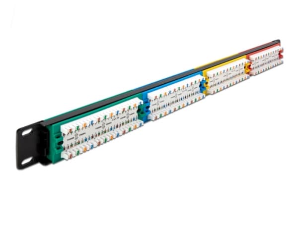 Delock - Koblingspanel - skapmonterbar - CAT 5e - RJ-45 X 24 - blå, gul, rød, grønn - 1U - 19"