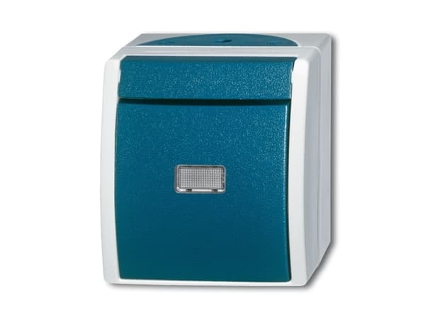 Busch-Jaeger 2621 W-53-206, 1P, Grønn, Hvit, 250 V, 10 A