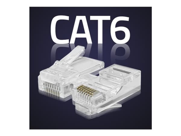 Qoltec - Nettverkkontakt - RJ-45 (hann) - UTP - CAT 6 - gjennomsiktig (en pakke 100)