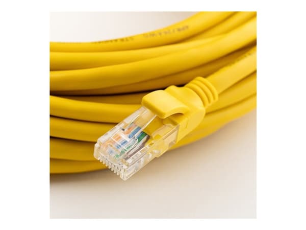 Qoltec - Nettverkkontakt - RJ-45 (hann) - UTP - CAT 6 - gjennomsiktig (en pakke 100)