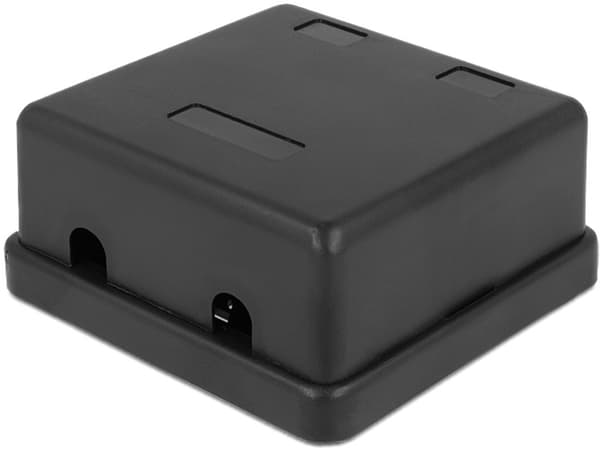 DeLOCK Keystone-skuff, 2 porter, plast, svart
