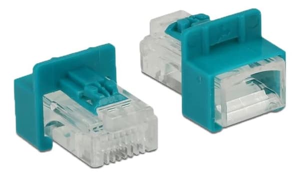 DeLOCK RJ45 Secure Clip with plug set 6 pieces