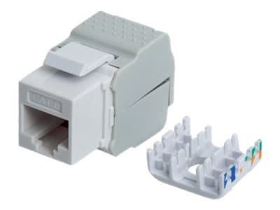 Intellinet Keystone Jack, Cat6, UTP, Toolless, White - Trapes-jakk - CAT 6 - STP - hvit - 1 port