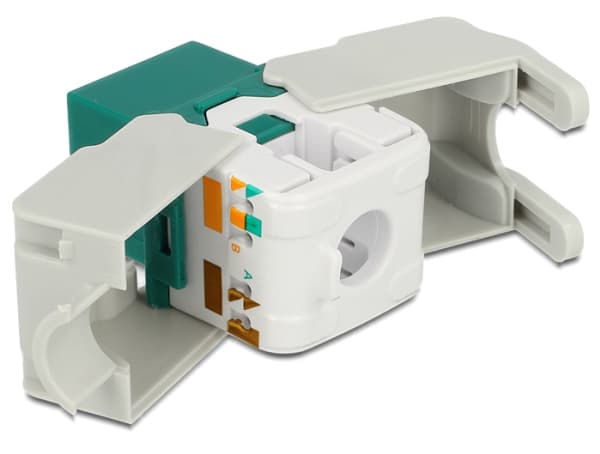 Delock Keystone module - Modulinnlegg - CAT 6 - UTP - RJ-45 - grønn