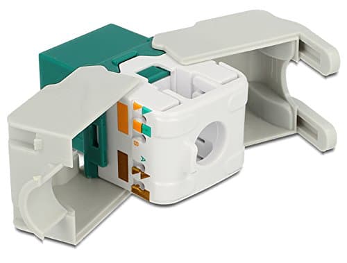 Delock Keystone module - Modulinnlegg - CAT 6 - UTP - RJ-45 - grønn