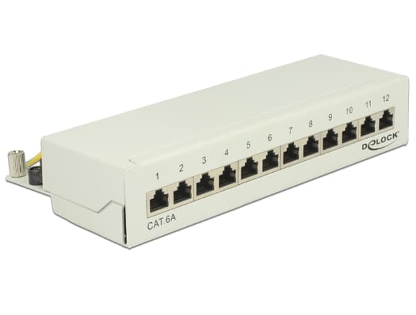 Delock - Patch-panel - väggmontering - RJ-45 X 12 - ljusgrå, RAL 7035
