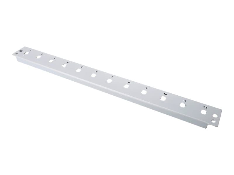 DIGITUS - Patch-panel - ST X 12 - ljusgrå, RAL 7035 - 1U
