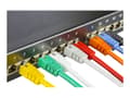 Miniatyrbilde 3 av 5: DELTACO - Koblingskabel - RJ-45 (hann) til RJ-45 (hann) - 1 m - FTP - CAT 6 - rød