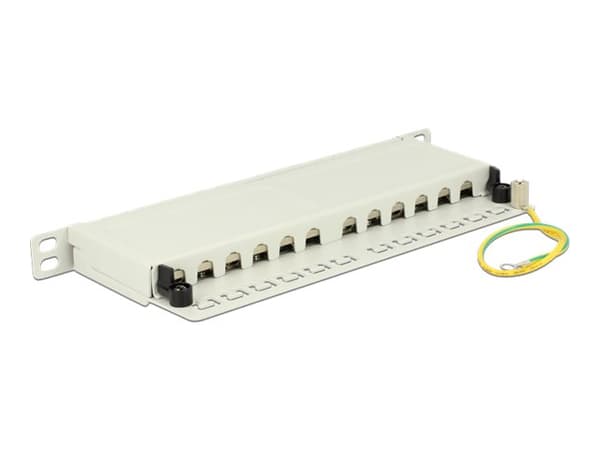 Delock - Koblingspanel - CAT 6a - RJ-45 X 12 - lysegrå, RAL 7035 - 0.5U - 10" Grå