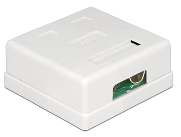 Delock Modular Wall - Stik til montering på overflade - CAT 6 - STP - RJ-45 X 2 - hvid