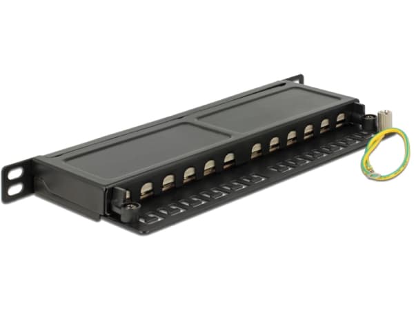 Delock - Patch-panel - CAT 6a - RJ-45 X 12 - gagatsvart, RAL 9005 - 0.5U - 10"
