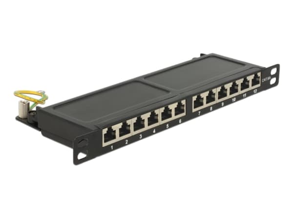 Delock - Patch-panel - CAT 6a - RJ-45 X 12 - gagatsvart, RAL 9005 - 0.5U - 10"