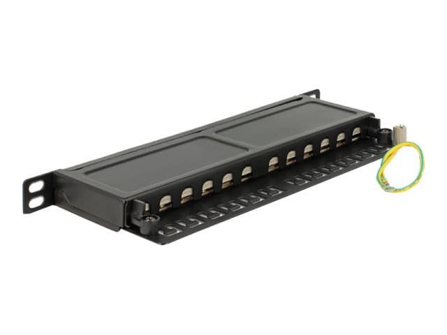 Delock - Patch-panel - CAT 6a - RJ-45 X 12 - gagatsvart, RAL 9005 - 0.5U - 10"
