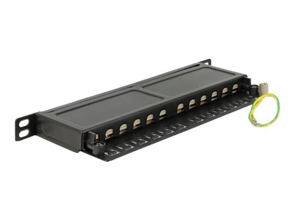 Delock - Koblingspanel - CAT 6a - RJ-45 X 12 - kullsort, RAL 9005 - 0.5U - 10" Sort