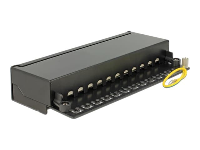 Delock - Patch-panel - väggmontering - CAT 6a - RJ-45 X 12 - gagatsvart, RAL 9005