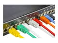 Miniatyrbilde 3 av 5: DELTACO - Koblingskabel - RJ-45 (hann) til RJ-45 (hann) - 50 cm - FTP - CAT 6 - grønn