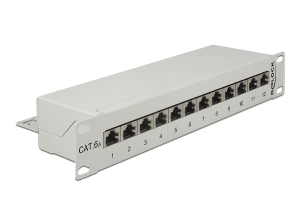 Delock - Koblingspanel - CAT 6a - RJ-45 X 12 - lysegrå, RAL 7035 - 1U - 10"