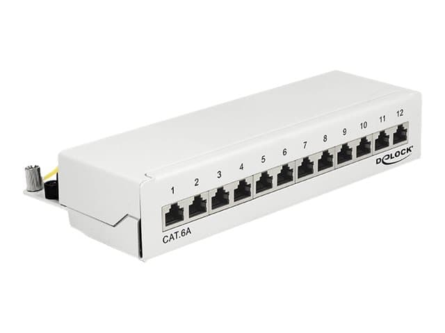 Delock - Patch-panel - väggmontering - RJ-45 X 12 - kritvit, RAL 9010