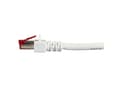 Pikkukuva 3 / 5: EFB Elektronik K5518.0,25, 0,25 m, Cat6, S/FTP (S-STP), RJ-45, RJ-45