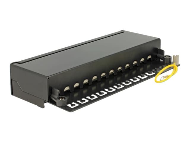 Delock - Patch-panel - RJ-45 X 12 - gagatsvart, RAL 9005