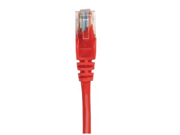 Intellinet 738958, 0,25 m, Cat5e, SF/UTP (S-FTP), RJ-45, RJ-45, Rød