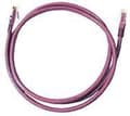 Miniatyrbilde 4 av 5: MicroConnect - Nettverkskabel - RJ-45 (hann) til RJ-45 (hann) - 7 m - UTP - CAT 6 - purpur