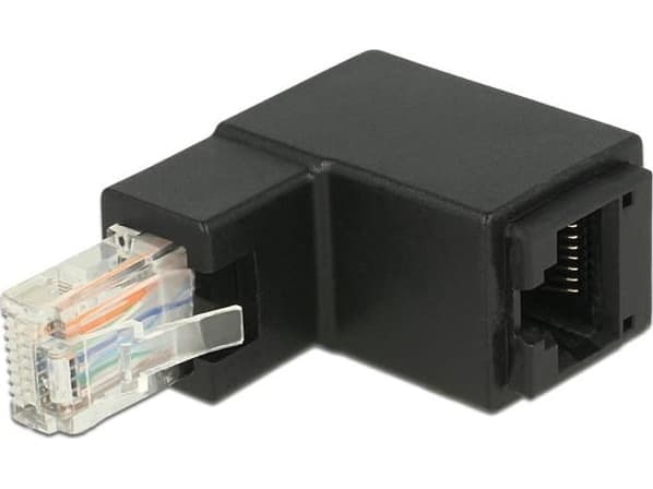 DeLOCK - Verkkosovitin - RJ-45 (uros) kulmikas RJ-45 (naaras) - UTP - CAT 6