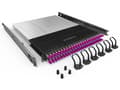 Miniatyrbilde 5 av 5: PATCHBOX PLUS+ SYSTEM OM4 - Fiberstyringssystem med tilbaketrekkbare stikksnorer - 1.7 m - LC x 24 - RAL 9005 - 1U - 19"