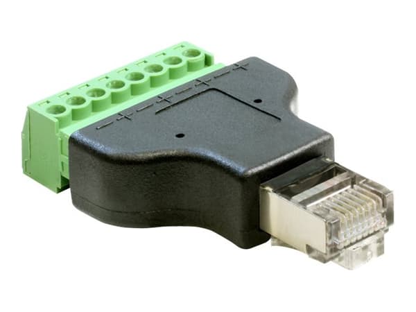 Delock - Nettverksadapter - 8-pins terminalblokk (hunn) til RJ-45 (hann)