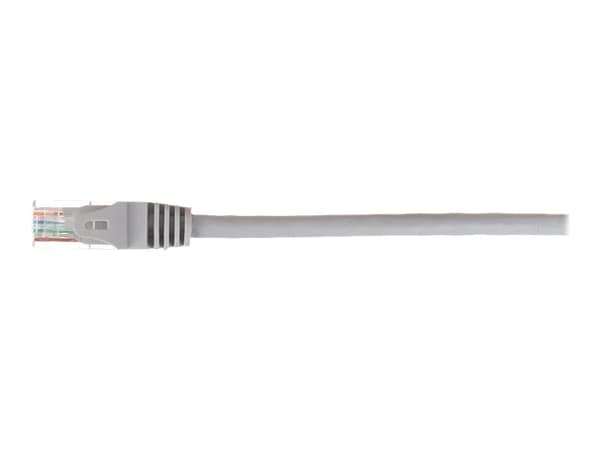 Netrack - Patch-kabel - RJ-45 (hane) till RJ-45 (hane) - 3 m - UTP - CAT 5e - formpressad, hakfri - grå