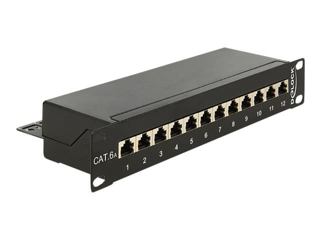 Delock - Patch-panel - CAT 6a - RJ-45 X 12 - gagatsvart, RAL 9005 - 1U - 10"