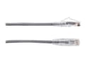 Miniatyrbilde 4 av 5: Black Box Slim-Net - Koblingskabel - RJ-45 (hann) til RJ-45 (hann) - 3 m - UTP - CAT 6a - med støvel, formstøpt, flertrådet - grå