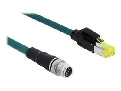 Delock - Liitäntäkaapeli - 8-nastainen M12-X (han) til RJ-45 (Hirose) (P) - 2 m - SFTP - CAT 6a - halogenfri - vandblå
