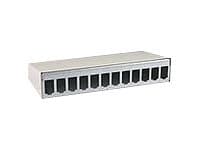 BTR E-DAT modul - Overflatemonteringsboks for nettverk - veggmonterbar - CAT 6a - ren hvit, RAL 9010 - 6 porter Hvit